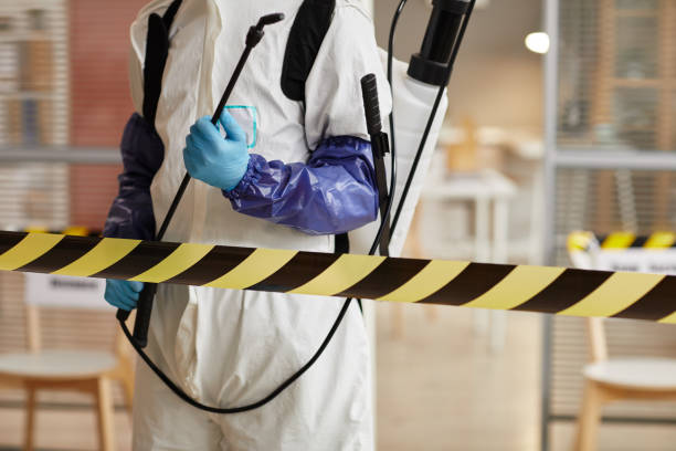 Professional Sewage Cleanup technician working in Sparrows Point, MD